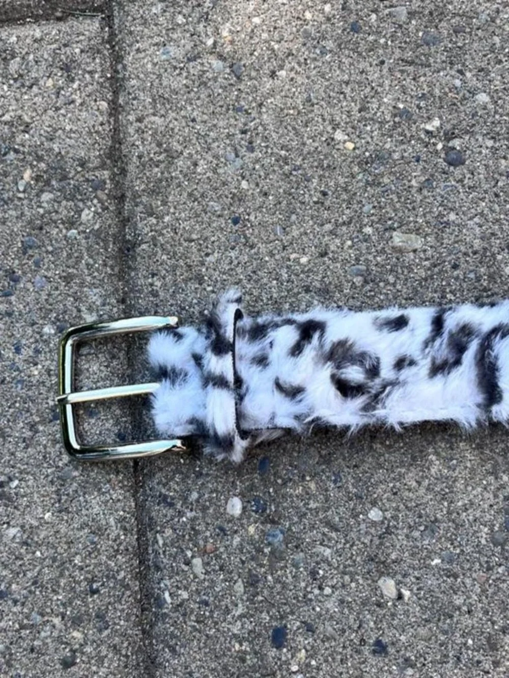 Leopard Print Belt with Single-Prong Buckle